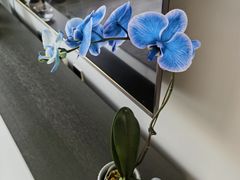 -三旗百汇商品城