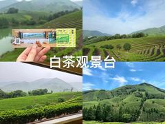 -阿露佳·舌尖上的安吉菜