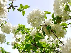 -大龙山(地铁站)