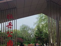 -洛阳市牡丹公园