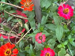 -我家小院川菜馆(杨家湾地铁站店)