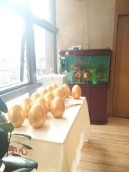 -金芙美月子中心(财富别墅店)