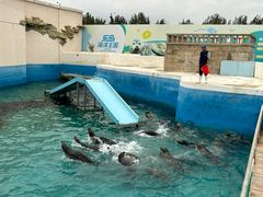 -秦皇岛乐岛海洋王国