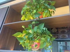 -八大碗·地道东北菜(白塔堡店)