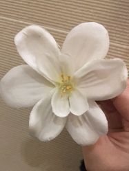 -Oasis Beauty水磨坊科技美肤中心