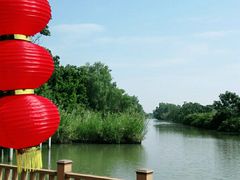 -大湾区中央湿地公园