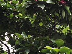 -首都医科大学宣武医院
