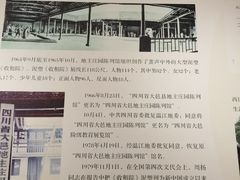 -安仁古镇