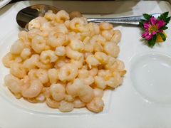 滑炒河虾仁-顺风海鲜港(长寿路店)