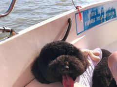 -上海月湖雕塑公园