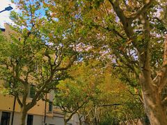 -上海国际音乐村