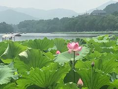 -杭州西湖风景名胜区-北街寻梦