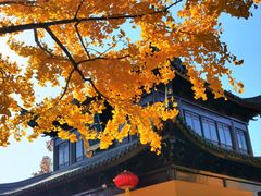 -圆通寺