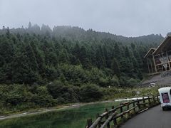 -武陵山森林公园