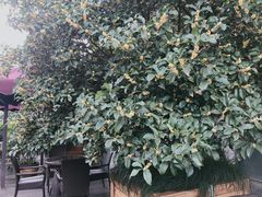 -蓝山咖啡馆(钱江龙店)