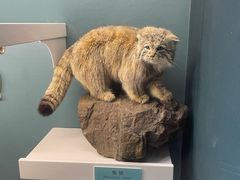 -国家自然博物馆