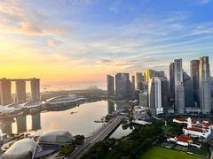 -新加坡瑞士史丹福酒店