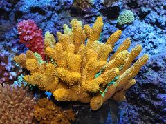 -中国湿地博物馆