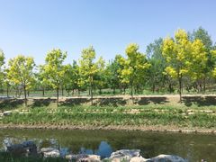 -东郊湿地公园