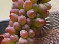 -马陆小张葡萄园农家乐