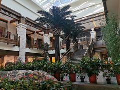 -太湖饭店玉兰厅(自助餐厅)