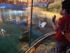 -三亚海昌梦幻海洋不夜城