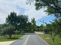 -永定河休闲森林公园