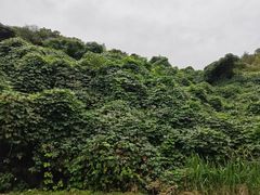 -东钱湖旅游度假区