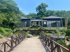 -白马涧龙池景区