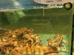-快乐海鲜酒楼(滇池路店)