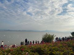 -深圳湾公园(南山区)