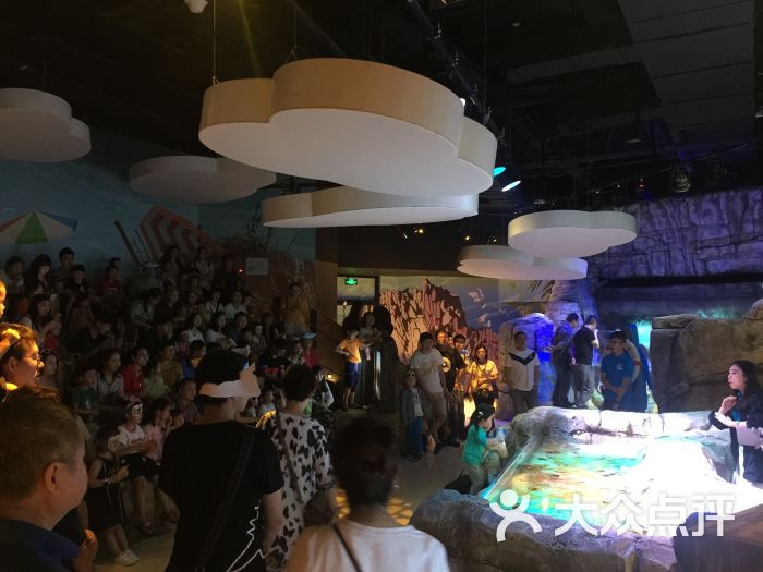 江洋大盗&野兽上传的图片