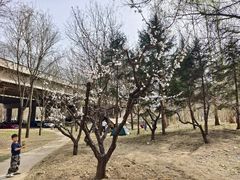 -兴安湖生态运动公园