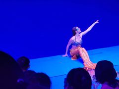 -芜湖新华联大白鲸海洋公园