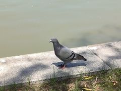 -中国农业博物馆