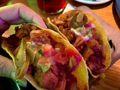 -Famous肥猫墨西哥音乐餐吧(五棵松华熙LIVE店)