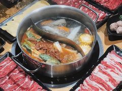 -手选潮汕鲜活牛肉火锅(二七广场店)