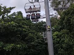 -圣淘沙天际线斜坡滑车