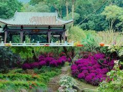 -广州市白云山风景名胜区