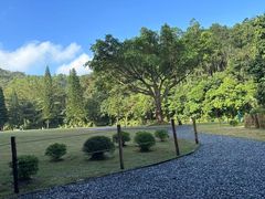 -深圳仙湖植物园