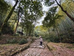 -仙霞关景区