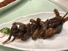 -圆苑(上海广场店)