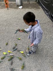 -萌宠亲子动物乐园(槐房万达店)