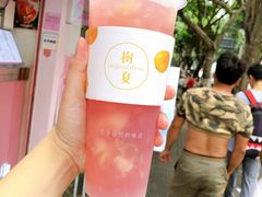 -树夏(建设路店)