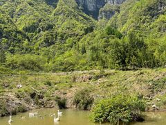 -鹿院坪生态旅游景区