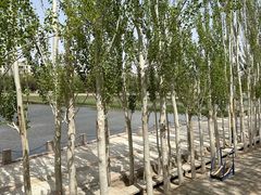 -党河风情线国家水利风景区