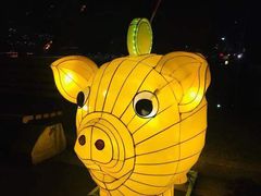 -锦江乐园舞狸花花游园会(夜场专享)