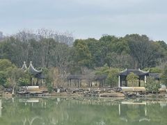 -八大山人梅湖景区