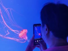 -福州罗源湾海洋世界旅游区