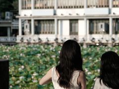 -荔湾湖公园